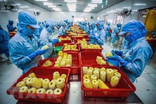 Thúc đẩy tiêu thụ hàng hóa nông sản sang thị trường Trung Quốc