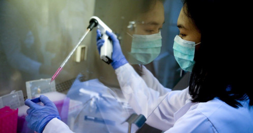 Thái Lan phát triển vắc xin Covid-19 "giá phải chăng" cho Đông Nam Á