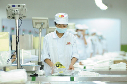 Những cái tên nổi bật sắp lên sàn “hậu Covid-19”