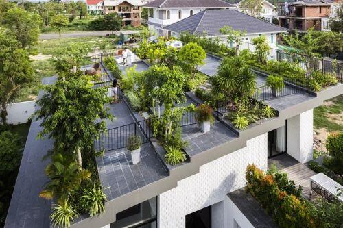 Biệt thự độc nhất vô nhị trồng cả rừng cây trên mái nhà ở Nha Trang