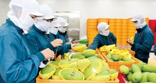 5 tháng đầu năm, Trung Quốc nhập khẩu gần 3,7 tỷ USD hàng nông sản Việt Nam