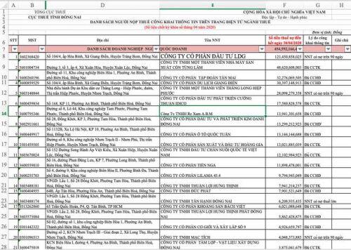 Đồng Nai: LDG Group tiếp tục ‘đội sổ’ danh sách nợ thuế khủng
