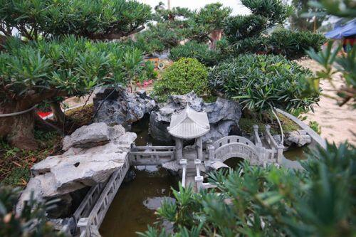 Chiêm ngưỡng tác phẩm 'Đồi tùng La Hán' độc nhất vô nhị giá 350 triệu