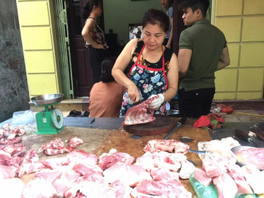 Giá thịt lợn ‘cố thủ’ cao, tăng tốc tái đàn bù đắp nguồn cung