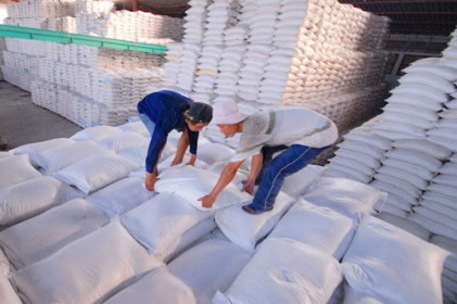 Gạo Việt 'so găng' với Thái Lan để giành đơn hàng từ Philippines