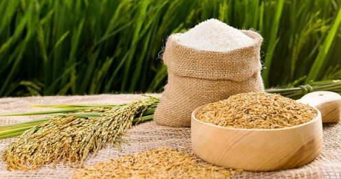 Việt Nam có cơ hội lớn để vượt qua Thái Lan về xuất khẩu gạo toàn cầu
