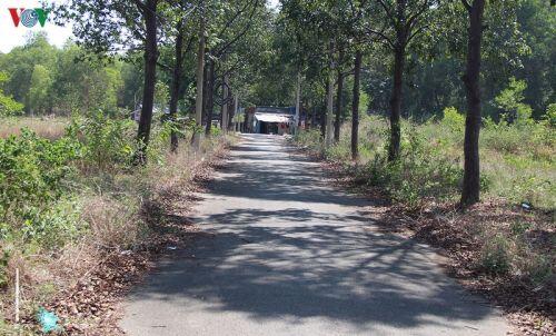 3 năm không có “sổ đỏ”, Công ty Việt Trung lừa dối khách hàng?