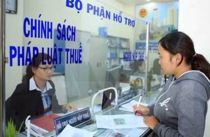 Quảng Ninh: Công ty Thống Nhất 508 nợ thuế hơn 288 tỷ đồng
