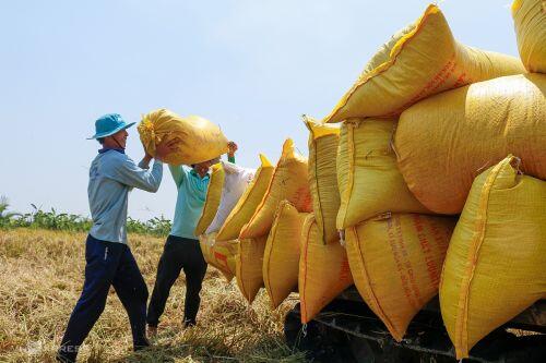 Kinh tế Việt Nam liệu có đuổi kịp Thái Lan và bài học tránh rủi ro?