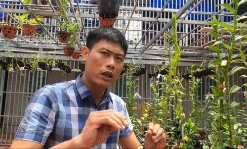 Gặp người mua 3 cây lan đột biến gene giá 32 tỷ đồng ở Bình Phước
