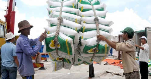 Trung Quốc mua gạo Việt giá cao kỷ lục; 321 triệu khẩu trang "xuất ngoại"
