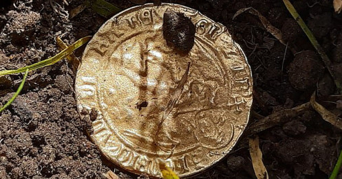 Bất ngờ tìm được đồng xu vàng 500 tuổi khi giải trí trong vườn