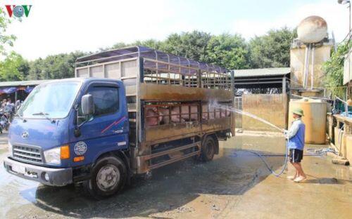 Cận cảnh chợ lợn lớn nhất miền Bắc đìu hiu, ế ẩm khi giá tăng 'sốc'