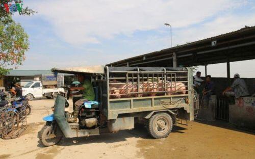 Cận cảnh chợ lợn lớn nhất miền Bắc đìu hiu, ế ẩm khi giá tăng 'sốc'