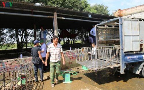 Cận cảnh chợ lợn lớn nhất miền Bắc đìu hiu, ế ẩm khi giá tăng 'sốc'