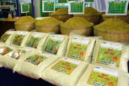 Động lực nào cho các cổ phiếu ngành gạo?