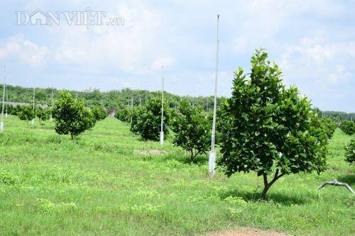 Dự án Vinamit ở Bình Dương, Phó Giám đốc Sở TNMT nói “không “mưu toan”, không “xóa sổ”...