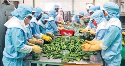 Đưa nông sản, thực phẩm Việt tiến sâu vào thị trường Sơn Đông, Trung Quốc