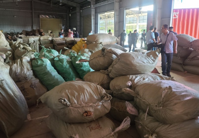 Phát hiện hơn 100 tấn dược liệu “đội lốt” hàng nông sản tại Đà Nẵng