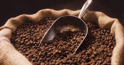 Dự báo lượng tồn kho cà phê thế giới ở mức cao