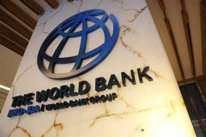 Ngân hàng Thế giới trừng phạt Công ty Sao Bắc Đẩu vì gian lận