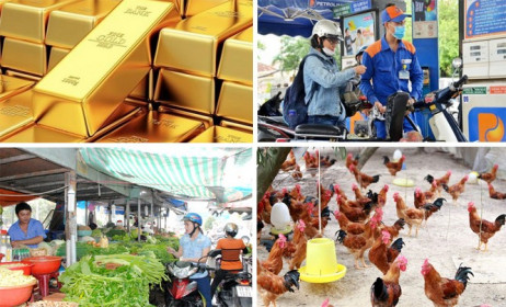 Tiêu dùng trong tuần: Giá vàng, xăng dầu và thực phẩm đồng loạt tăng mạnh
