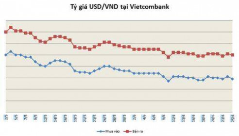 Doanh nghiệp Việt loay hoay ứng phó rủi ro tỷ giá