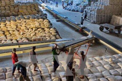 Thị trường gạo xuất khẩu tuần qua: Giá gạo xuất khẩu của Việt Nam giảm