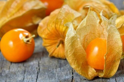 Ngỡ ngàng với quả dại mọc đầy ở Việt Nam, sang nước ngoài bán giá hơn 700.000/kg