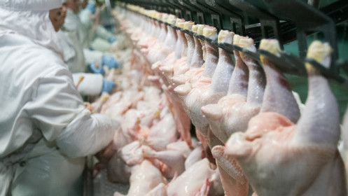 Trung Quốc tạm thời cấm nhập thịt từ Brazil
