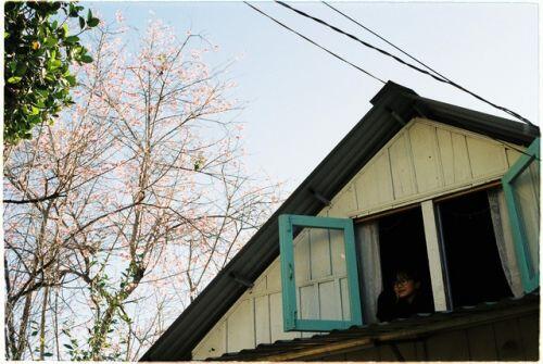 Thuê nhà bỏ hoang ở Đà Lạt, cặp đôi bỏ 300 triệu đồng làm nên điều bất ngờ