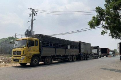 Campuchia sẽ triển khai dự án bãi đỗ xe tải cỡ lớn trị giá 160 triệu USD ở Phnom Penh