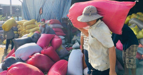 Nhà nhập khẩu “đè” giá, gạo Việt Nam phải tính đường dài