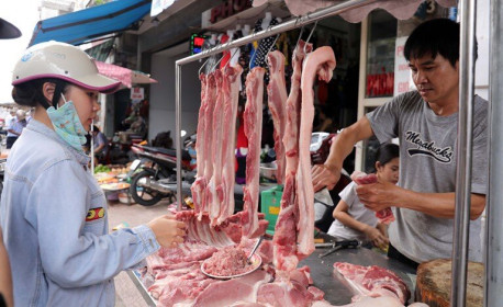 Giá thịt lợn có thể tiếp tục giảm khi lợn Thái Lan về Việt Nam tăng