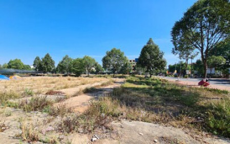Quảng Ngãi: Gần 10 nghìn m2 đất vàng trung tâm thành phố bị bỏ hoang?