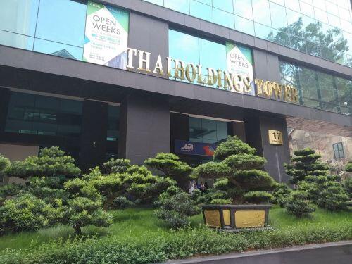 Choáng với cổ phiếu THD lên sàn, 16 phiên tăng trần liên tiếp