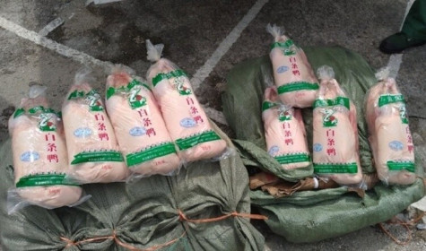 Thịt vịt đông lạnh nhập lậu từ Trung Quốc về bán chợ dân sinh