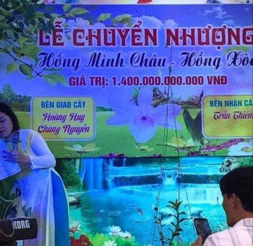 Náo loạn giao dịch hoa lan hàng chục tỷ đồng: Làm giàu nhanh hơn buôn đất?