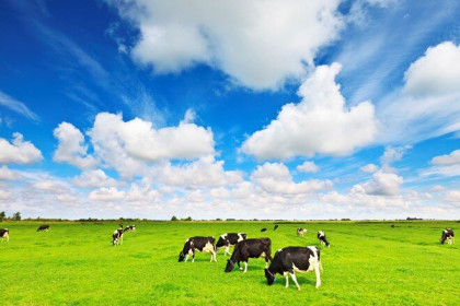 F&N Dairy Investments Pte.LTD tiếp tục đăng ký mua vào hơn 17,4 triệu cổ phiếu Vinamilk