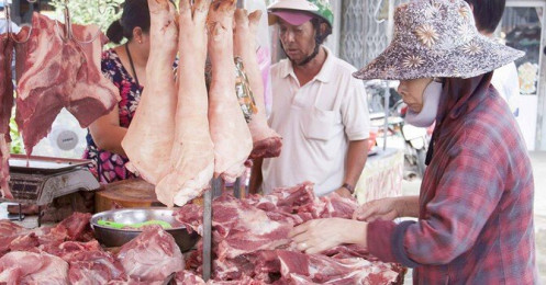Vì sao giá heo hơi “ngựa quen đường cũ”?