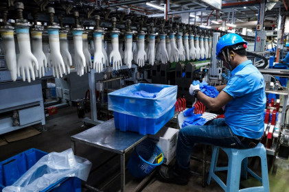 Malaysia thu hơn 5 tỷ USD từ xuất khẩu găng tay cao su