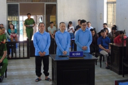 Đắk Lắk: 3 cựu cán bộ, nhân viên Agribank Tân An hầu tòa