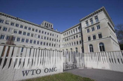 8 ứng cử viên bắt đầu cuộc đua vị trí Tổng giám đốc WTO