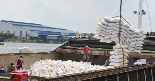 80.000 tấn gạo miễn thuế sẽ được khẩu vào EU mỗi năm