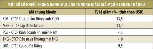 Hiệu suất tại Việt Nam của Quỹ Tundra kém nhất trong tháng 6
