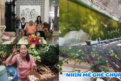 NSND Hồng Vân hé lộ biệt thự rộng lớn có khế trăm tuổi cá trê thành tinh giữa Sài Gòn
