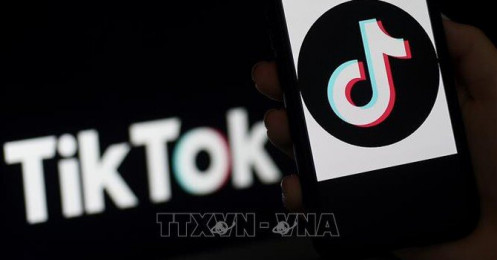TikTok ngừng đàm phán về việc lập trụ sở tại Anh