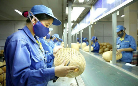 EC đồng ý gia hạn cho DN Việt tự chứng nhận xuất xứ hàng hóa