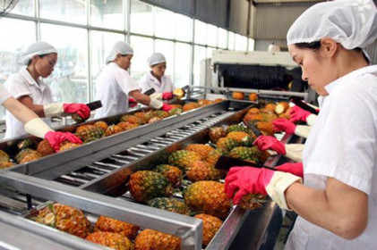 Xuất khẩu rau quả sang Thái Lan tăng ấn tượng