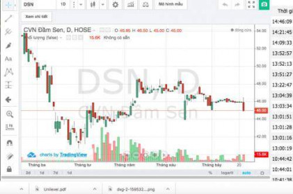 Cổ phiếu DSN giảm mạnh vì đâu?